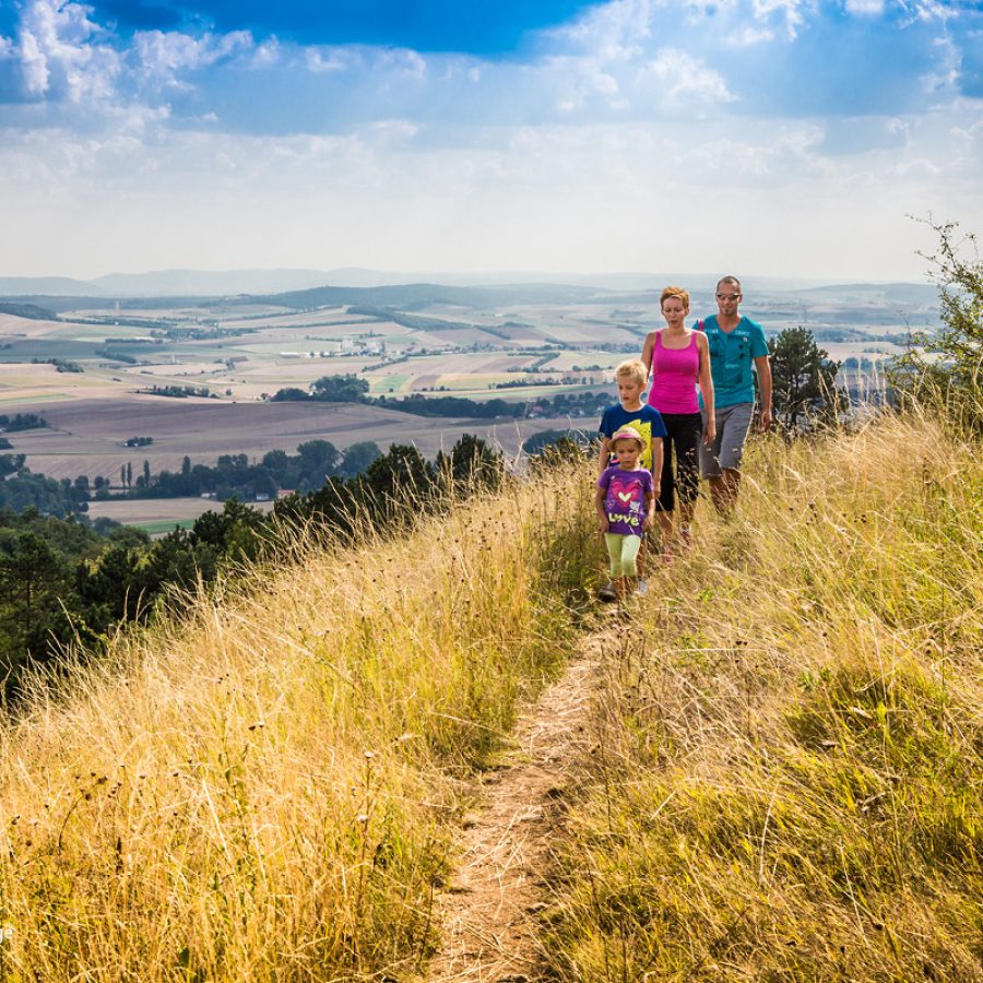 Eine Familie mit Mutter, Vater, Sohn und Tochter wandern in den Leiser Bergen am Buschberg.