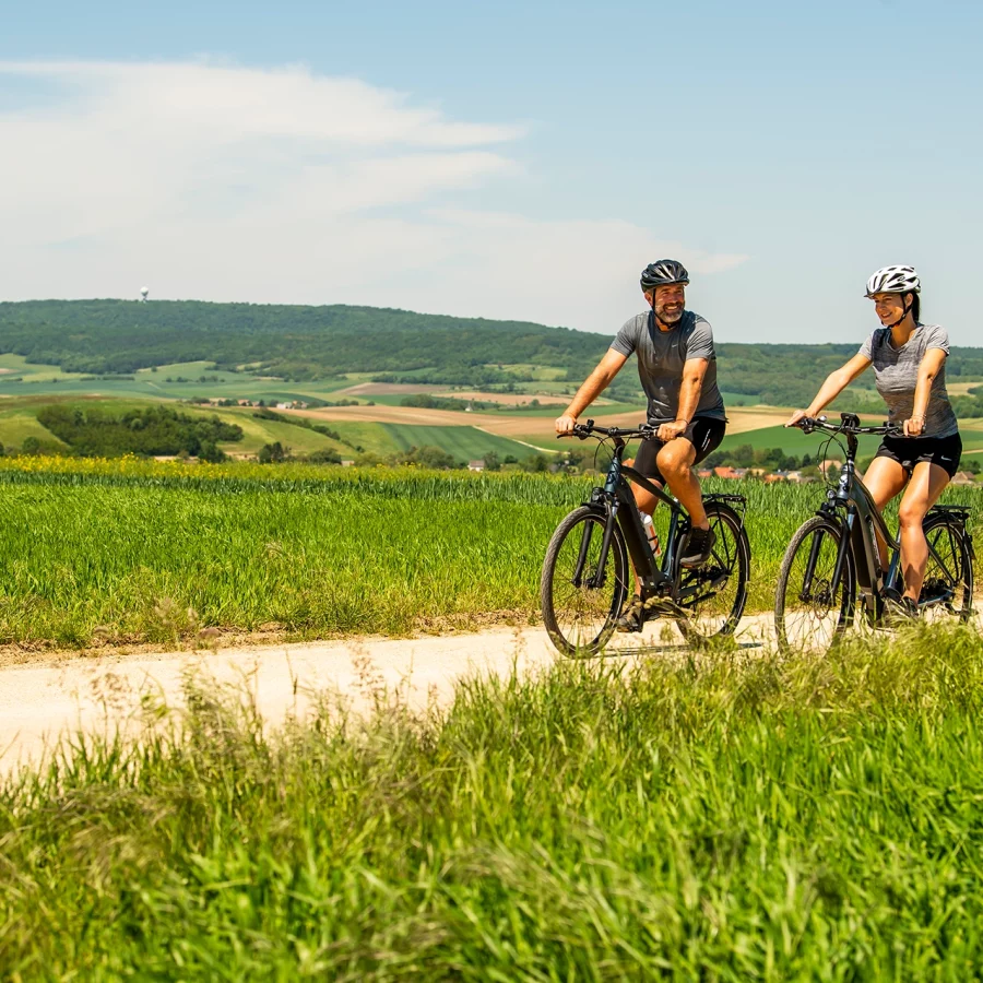 Fahrrad Fahren Buschberg Leister Berge Robert Herbst